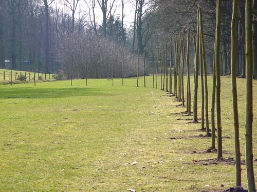 proposal01 Baarn - trajectory for Rembrandt, three trees (oaks) - gardens of the Groeneveld Castle Netherands and the environmental sculptures of Lucien den Arend - his environmental tree sculpture on the estate of Kasteel Groeneveld in Baarn - site specific art