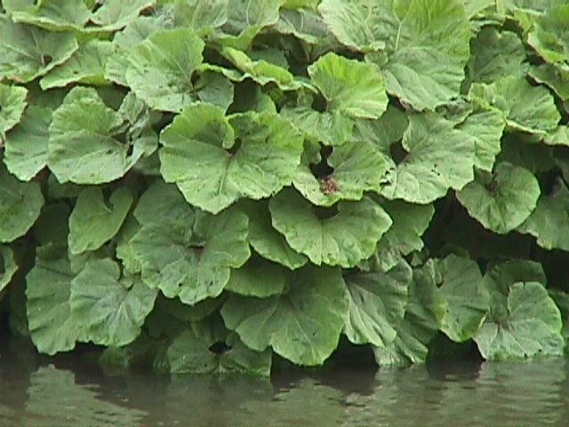 Barendrecht Holland and the sculptures of Lucien den Arend - his site specific sculpture ordered by the city of Barendrecht - Saenredam