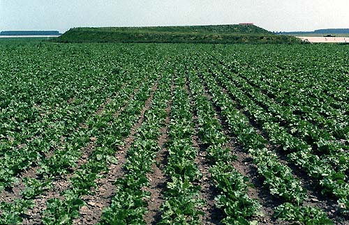 Lelystad Holland and the sculpture of Lucien den Arend - his site specific sculptures ordered by the city of Lelystad