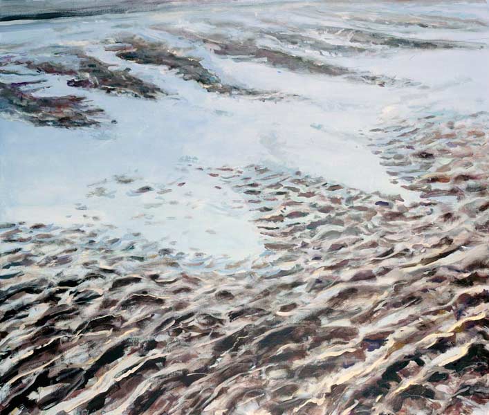 oil painting, submerged - Wim Drion, painter