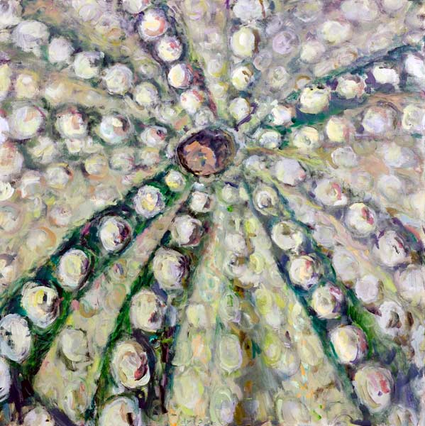 sea urchin II - Wim Drion, painter