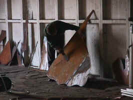 venelin05.JPG (49602 bytes)