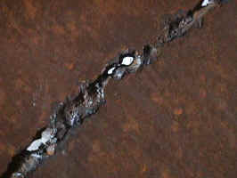 venelin07.JPG (49778 bytes)