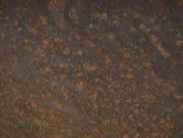 venelin08.JPG (48841 bytes)