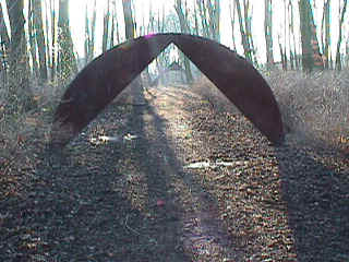 bplixenberg01ok.jpg (54344 bytes)