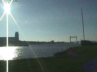 bpteeuwen03zon.jpg (16381 bytes)