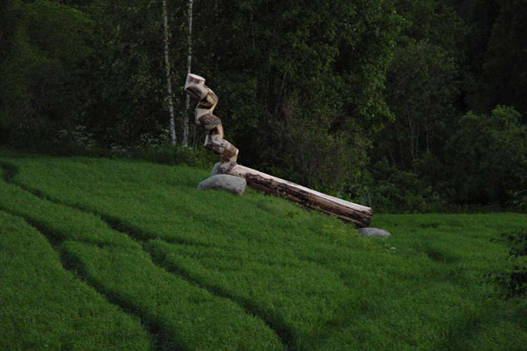 Roland de Jong Orlando - "re-nature" - wooden sculpture.