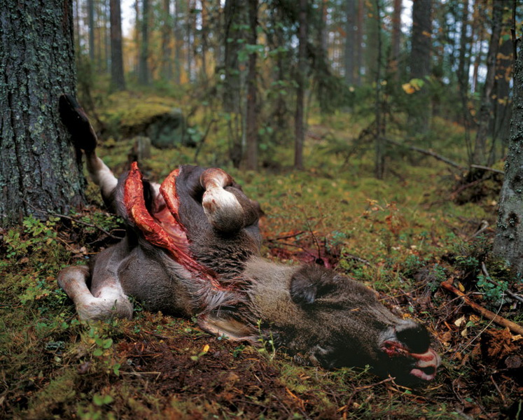 Finland - photographs by Marco de Nood - photographer.