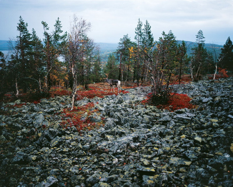 Finland - photographs by Marco de Nood - photographer.