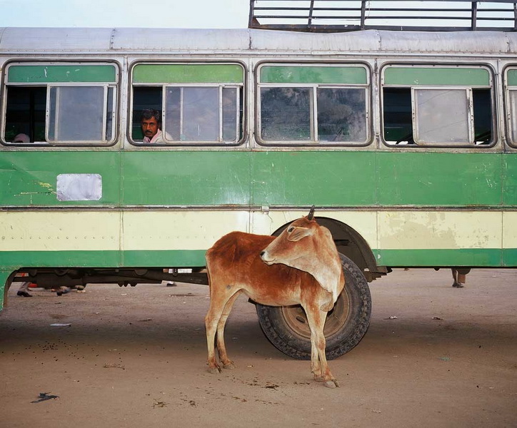 India - photographs by Marco de Nood - photographer.