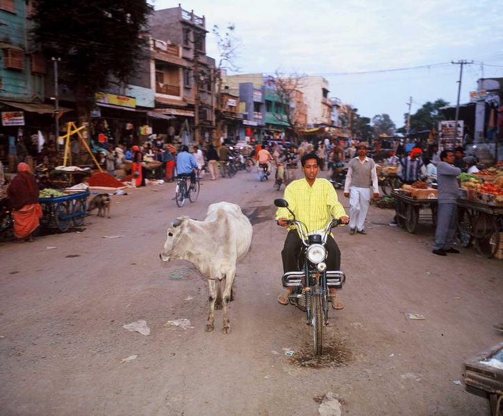 India - photographs by Marco de Nood - photographer.