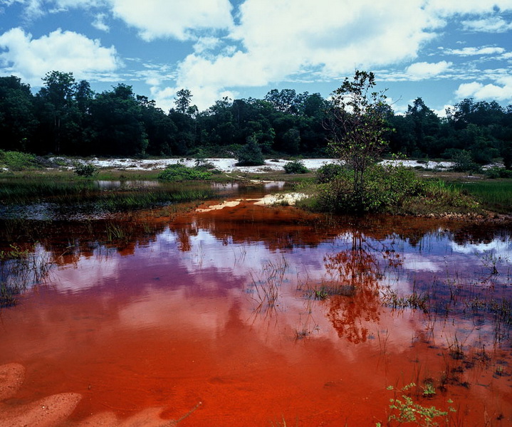 Surinam - photographs by Marco de Nood - photographer.
