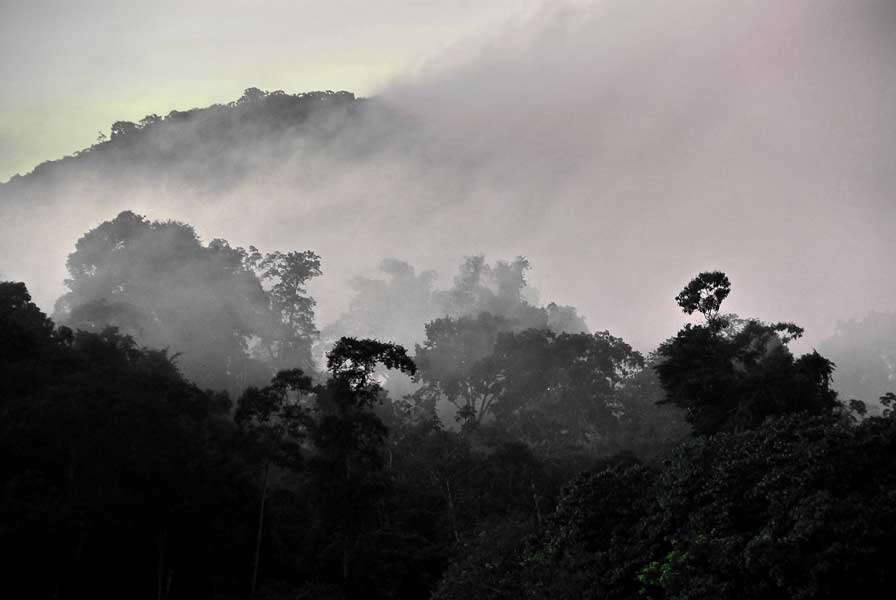 Surinam - photographs by Marco de Nood - photographer.