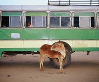 Photographs of India by Marco de Nood, photoggrapher.