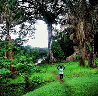 Photographs of Surinam by Marco de Nood, photoggrapher.