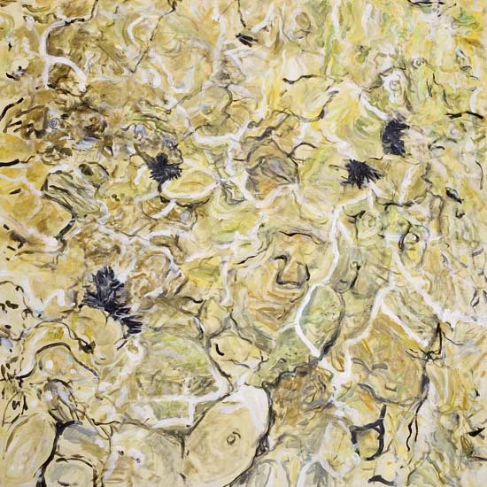 a-drion01.jpg (23648 bytes)