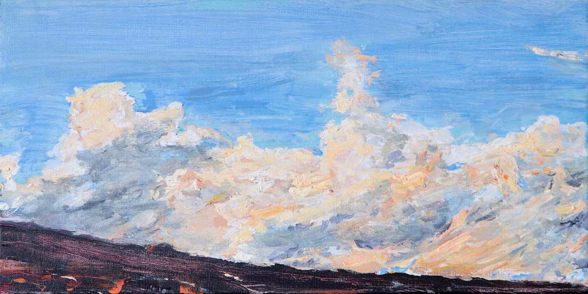 2014 - oil painting on canvas - "cloudy sky" - 60x30cm