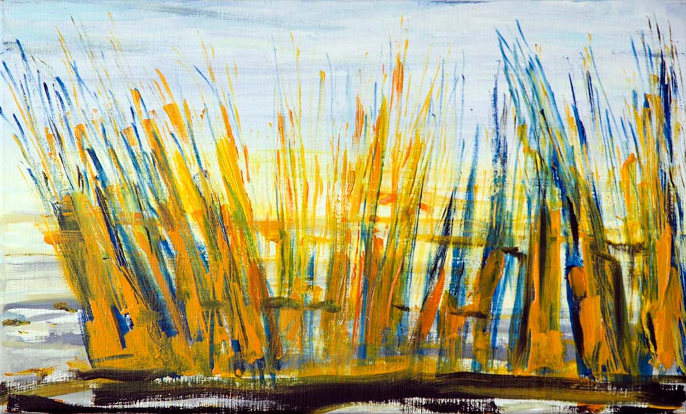 Kalami reeds in the morning - 75x45cm - 2015 - oil paint on canvas