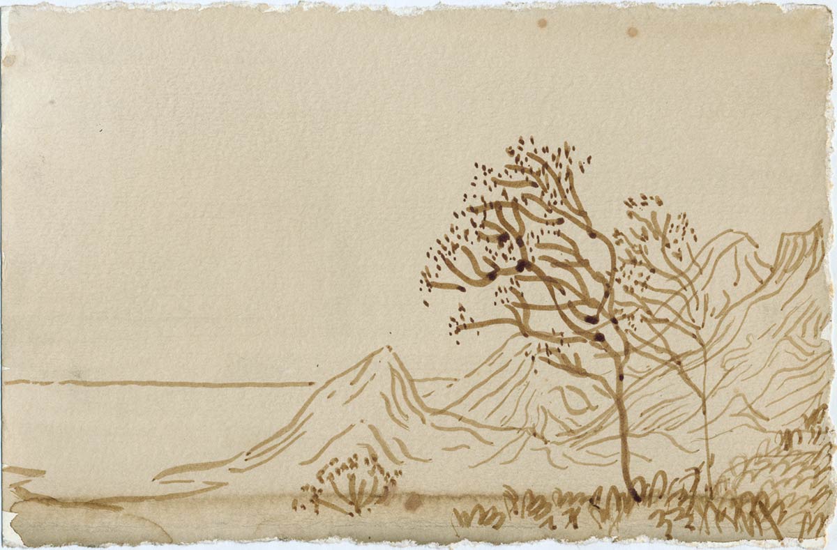 Kunstschilder, Arie Wols